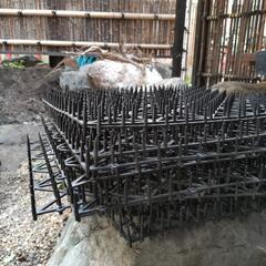 [6月19日まで]猫よけのトゲトゲ11枚の画像