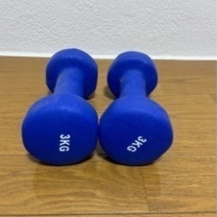 タンベル　3kg x 2個セットの画像