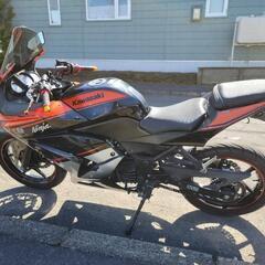 カワサキ ニンジャ250R スペシャルエディション 完全現状渡しの画像