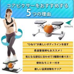 エアロライフ　コアビクサーの画像