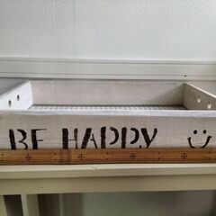 多肉トレー（早いもの勝ち1100円に値下げします）の画像