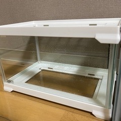 エキゾテラ　レプテリアホワイト300Low 爬虫類ケージの画像