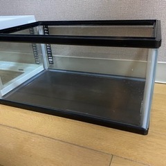 エキゾテラ　レプテリアホワイト300Low 爬虫類ケージの画像