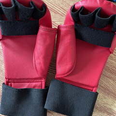 ミズノ空手拳サポーター　グローブM の画像