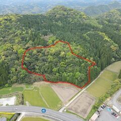 鹿児島市東俣町【※契約済】 土地3筆約1,805坪傾斜地山林120万円 - 鹿児島市