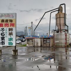 米ぬか無料でさしあげます　 ご自由にお持ち帰りください　安曇野市...