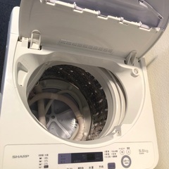 【清掃済み】5.5kg縦型洗濯機【４年使用】の画像