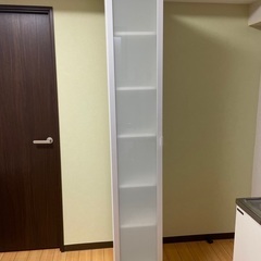 扉付き棚(IKEA)
