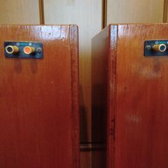 自作バックロードホーンD-10改 FE108EΣ 手渡しの画像