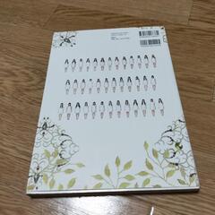 AKB48 写真集　美女採取の画像
