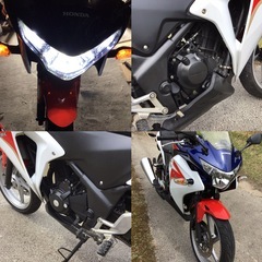 ホンダ　CBR250R  程度良好！　絶好調車！　HONDAの画像