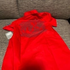 ディズニープレーンズ ピストンピーク ファイヤードメント ボタンダウンシャツの画像