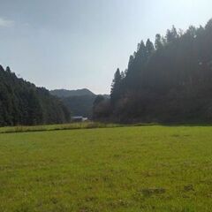 田んぼ（5000㎡ほど）自由に耕作お願いします。