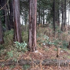 ソロキャンプ｜土地販売/土地売買の住宅情報｜ジモティー