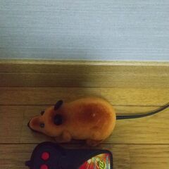 おもちゃ　リモコン　ペット用おもちゃ　運転バック用教習　として