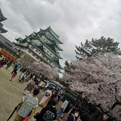 着物でお出かけ会👘👜