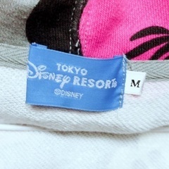ディズニーパーカーの画像
