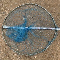 タモ網