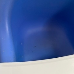 カリブ　ベビーチェアの画像