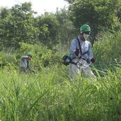 レンタル◆エンジン草刈機・刈払機（作業員つきok）、配送・引取o...