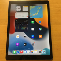 iPad Pro Wi-Fi + Cellular