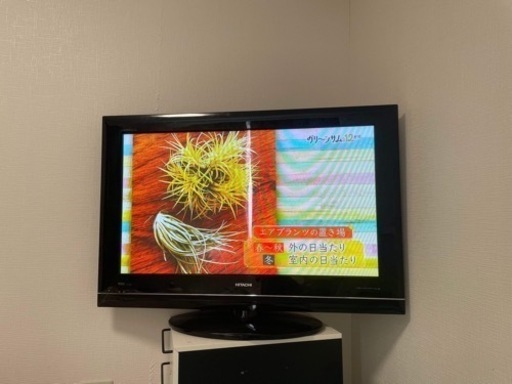 テレビ