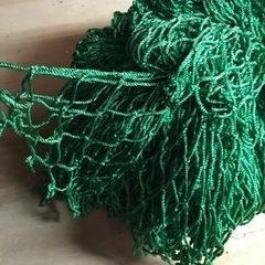 緑のネット