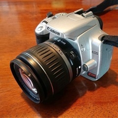 早い者勝ち！デジタル一眼レフの入門機に。の画像