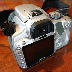 早い者勝ち！デジタル一眼レフの入門機に。の画像