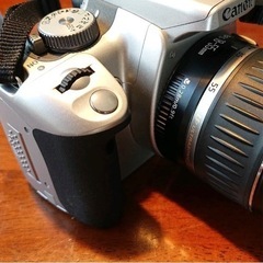 早い者勝ち！デジタル一眼レフの入門機に。の画像