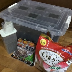 デュビア 爬虫類や観賞魚の餌用の画像