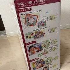 新品・未開封　ベビージム　うちの赤ちゃん世界一の画像