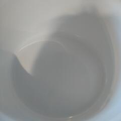 フレディ レック★洗い桶 ウォッシュタブの画像