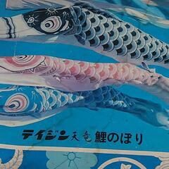 商談中になりました。新品？テイジン天竜印ナイロン鯉のぼり