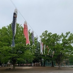 みんなでソフトボールしましょう！初回お昼ご飯付き(笑)！日曜の朝！健康第一老若男女！部員募集中！ - メンバー募集
