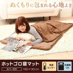 価格設定間違えましたm(_ _)mMORITA ホットゴロ寝マッ...