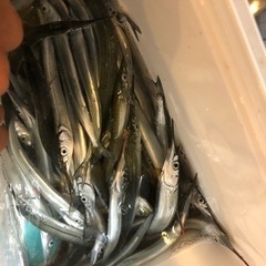 釣り友になりましょう。 - 金沢市
