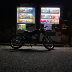 ソロの画像