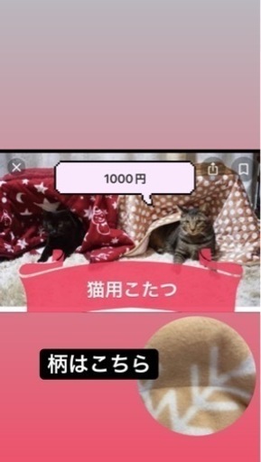 猫用こたつ