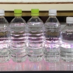 🐸Z)メダカの稚魚にゾウリムシ❣️無料プレゼント❣️お1人様2ℓまでの画像