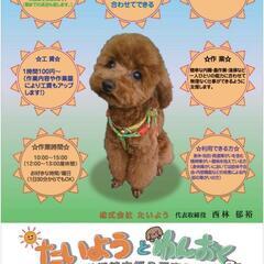 就労継続支援Ｂ型事業所 ★たいよう と わんおく★   の画像