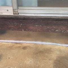 害獣ゼロの三浦です。害獣でお困りの方是非！ − 神奈川県