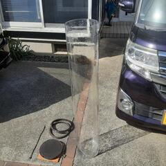 硝子製円柱水槽の画像