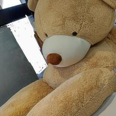 コストコ　くまのぬいぐるみ　大　良品