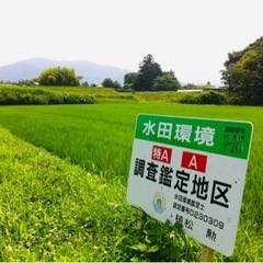 田んぼ一枚3500円の草刈りバイト募集❗️勤務日、時間は全てお任せ。残り3名の画像