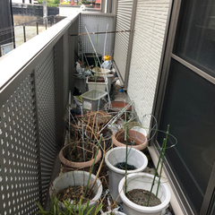 ベランダの片付け　高圧洗浄クリーニング　常滑市の便利屋　ハートフル