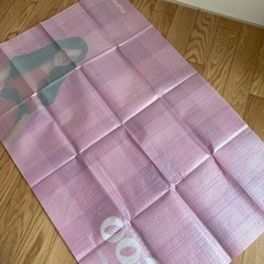 ☆佐々木希さんビニールシート新品未使用品の画像