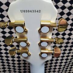 Epiphone   LPカスタム　の画像