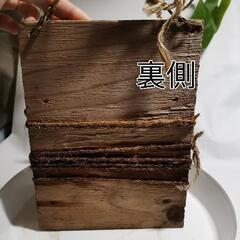 【観葉植物】ビカクシダ 'ネザーランド'（コウモリラン）市外配送"可"の画像