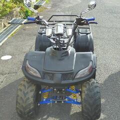 夏休みに間に合いますよ〜　珍車!BMW似中華バギー！110cc